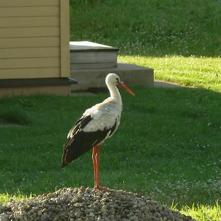 Puhketalu Zajazd Vakari