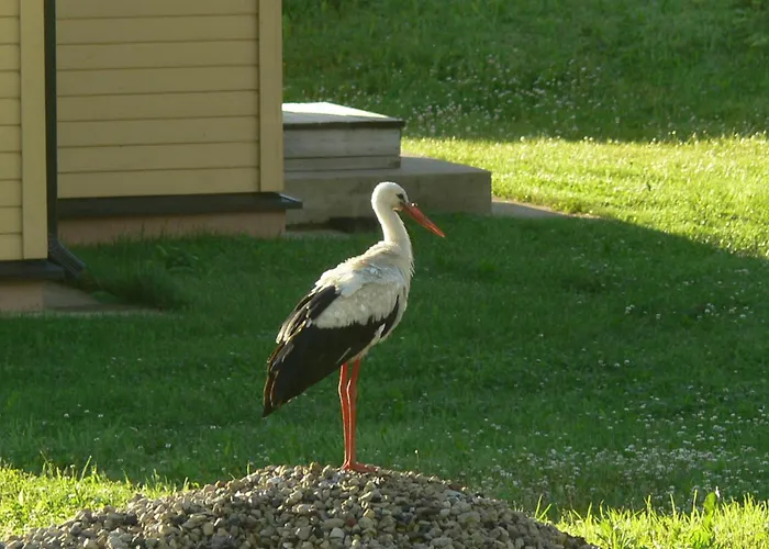 Puhketalu Zajazd Vakari